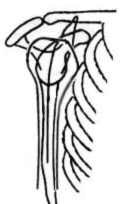 039c5c817bdbd610fc89d01dcb191256.png