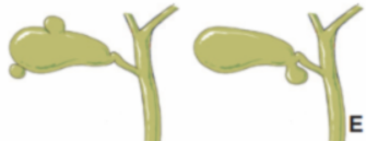 0dfac9a6d31ab17dc9f86ac49f967989.png