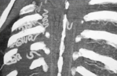 19f25621dfa4719bf9489cba3662c831.png