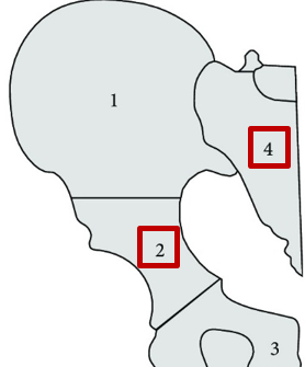 1aa7ca5b75be0d353f0605c9eb04e942.png