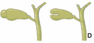 1ff5340580223d4d9d862c731a67ffb2.png