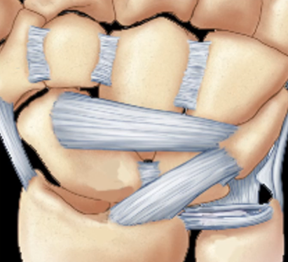 210e47c7adb138b50972648b79aab40a.png