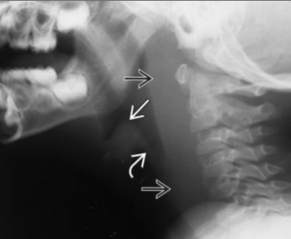 288ab856ec901a5b3c9d4899ef759016.png