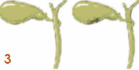 2a431ccc4eaa5b2ffd366d6c34a4f61b.png