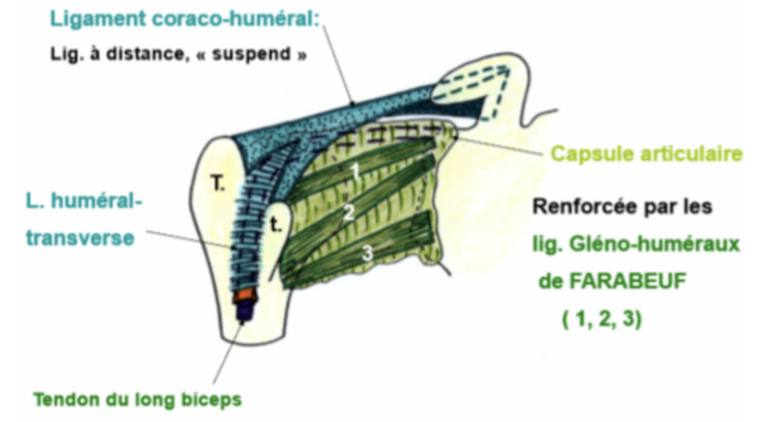 3b380a6601c5fac8d31775340bcd4431.png
