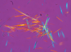 3b43cf3efacad6cb1616580161616982.png