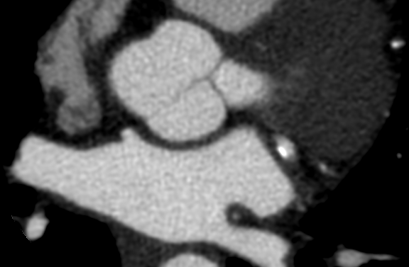 446c18aca88ee403141a0a41f4357c70.png