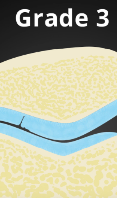 48a1807ddbccfa1b7a40446a053d1a2f.png