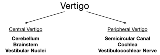 53eca058534cf542fc509f57596b4b46.png
