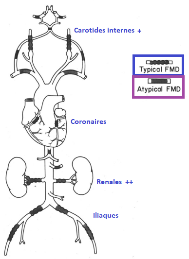 550e43ee6e7f3105756d376c5c83cb40.png