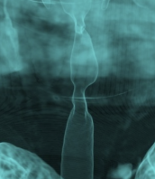 5565b9476b2a427d50801899492ee61a.png