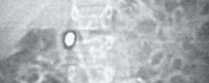 6259dc126a2d21db56bf5891fc0801dd.png
