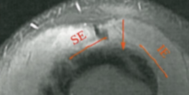 66be291cbe9dcd610ebc49bb21a2aba9.png