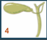 680a07d5bcc661300105b87d89fc7a32.png
