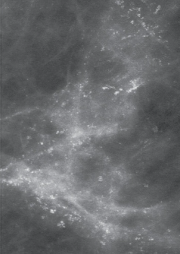 6d35f12542b4f44a2dfc9c32a6c68ab4.png
