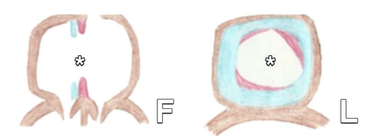 70971ba800fa4ed131a2fe9b70676db4.png