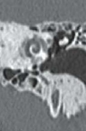 713eac407d45f08341c8410b1ca8dc81.png