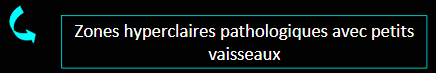 7ab525cc50f7f65caf37d0abf2b1dd25.png