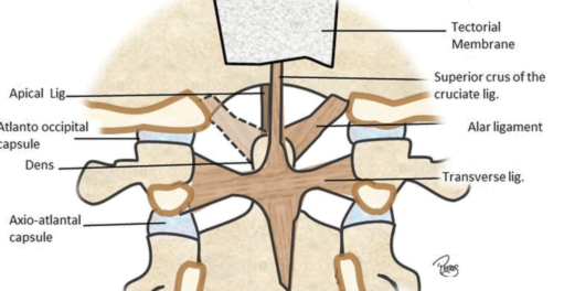 7ac51aab26179256f6fa10cbd40f3c27.png