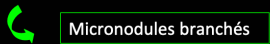 839abf8075833ee5c6969840164e0dad.png