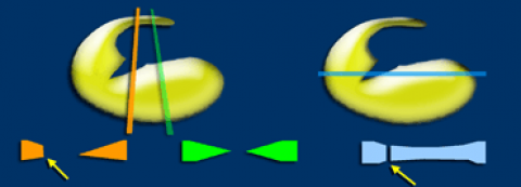 85dcdff79fe4a4835da8bb309055de23.png