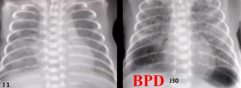 8a40230292687ffdcfad4b5338ecf5fc.png