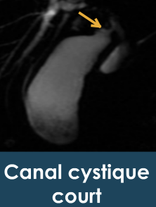 8ee9936b9d504ced740d892496d3a848.png