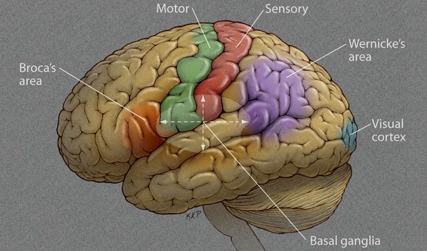 9573c27f35892946c940dd44c1866a68.png