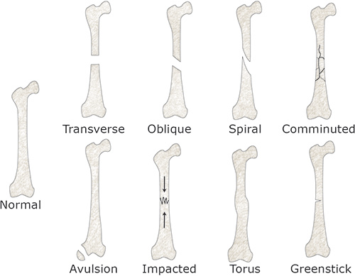 9b6abb18886f5a39531bb8cca511871a.png