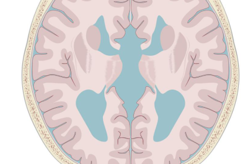 a4f5f5a66a559eb76d7fd30fe10708de.png