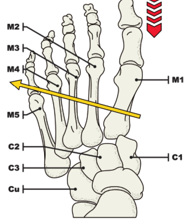 af62ff06334293d876ef29c06913f17a.png