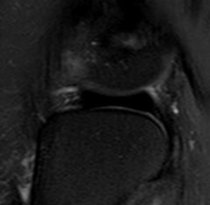 b060864ef97674aeefc457e2ea6ce480.png