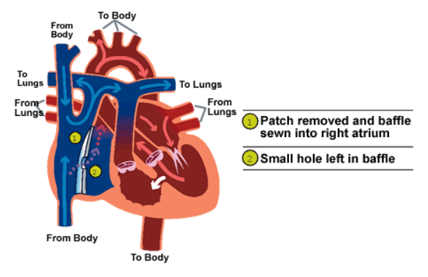 b3615fb5383f642a82a5d16399586d64.png