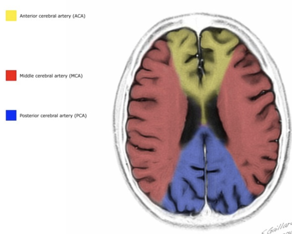 b6f14991166c360042bae46e5c008835.png