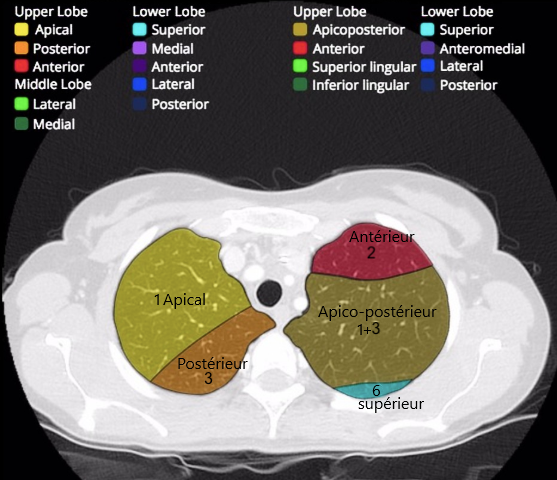 ba323ada14f1fe7a3043a4b1223facd7.png