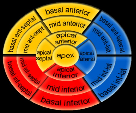 c0781a3191471b1036ef22c48a839344.png