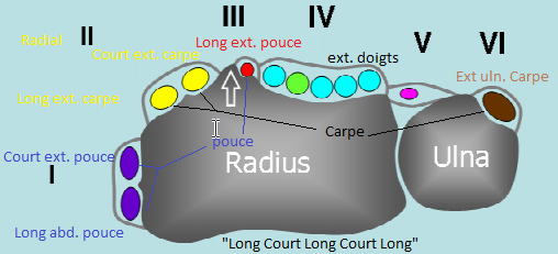cfe4bb89124d17e14acb9d999b315963.png