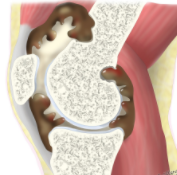 d447d4ef1528887a1132eec7606b3d88.png
