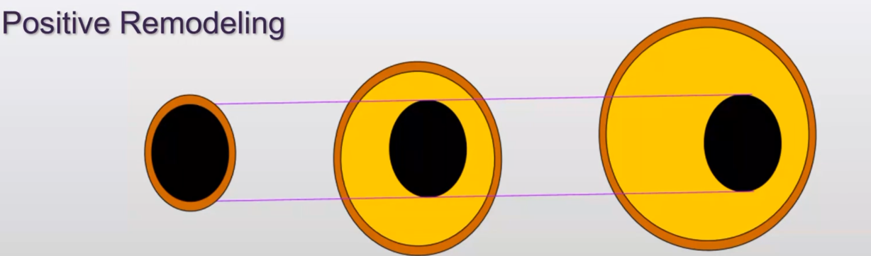 dd6f348b5a414311496181cd8d25fbf4.png