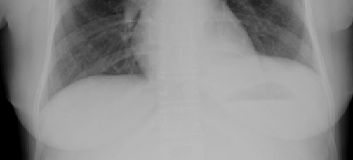 de1912a6310c9f4657586dd2b00399c1.png