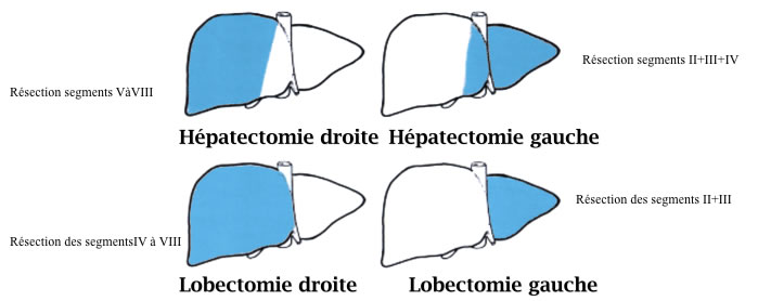 e085987cc10db0039d39186ce7c0f615.png