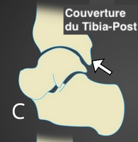 e53c6a31930f4b223e56d16b794cd5b2.png