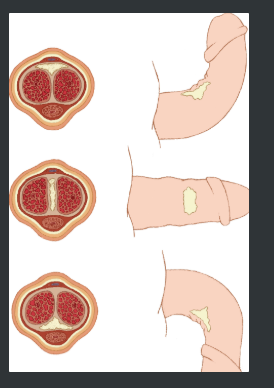 eb8ecd8cdb7c2f5ef4a58f97a45e7ba5.png