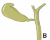 ec80636ff0bf90f330bbd383290b69f7.png