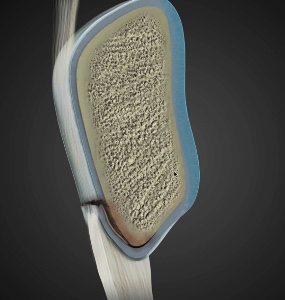 ef94b2f4c52ed5381dd4482f6a81c9a0.png