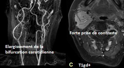f75d475517df1d0eaf69034727dbcd50.png