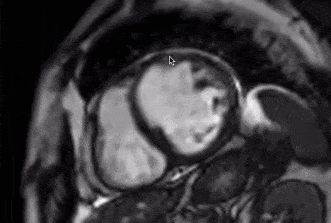 sept.gif